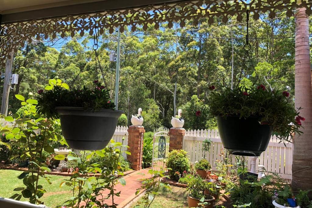 Mountain Living With Ocean Views Villa Mount Tamborine Dış mekan fotoğraf